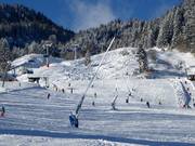 Lanzenbesneeuwing in Wegscheid