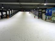 Ideale plek voor beginners