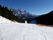 Makkelijke dalafdaling Bellaria naar San Martino di Castrozza