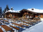 Berghutten tip Harschbichlalm