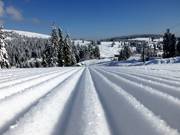 Droompiste bij de Grafenmatt