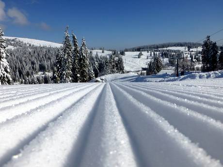 Pistepreparatie zuiden van het Zwarte Woud – Pistepreparatie Feldberg – Seebuck/Grafenmatt/Fahl