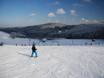 Olpe: Grootte van de skigebieden – Grootte Fahlenscheid – Olpe