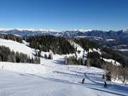 Bovenste deel van de dalafdaling Carnia