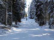 Skilift Vigil I (Seehof) - Pannenkoeklift