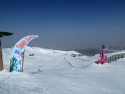 Tip voor de kleintjes 