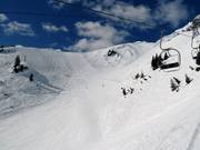 Buckelpiste en skiroute Osthang