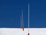 Lanzenbesneeuwing bij de Vorkogel