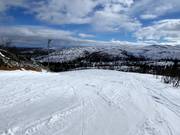 Gemakkelijke piste Lätta Blåbär