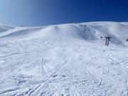 Freeride-terrein bij de Männlichen