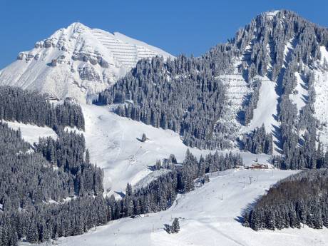 Zugspitz Arena Bayern-Tirol: Grootte van de skigebieden – Grootte Berwang/Bichlbach/Rinnen