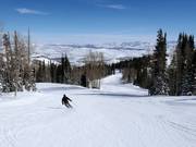 Piste bij de stoeltjeslift McConkey's Express