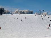 Lichte en brede piste