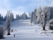 Piste Sjezdovka lišáka Foxe