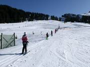 Easy Cheesy - Sleeplift/babyllift