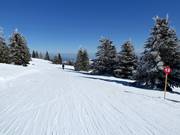 Verbindingspiste nr. 12 Gobelja