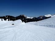 Gemakkelijke piste Nätschboden