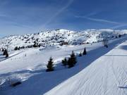Uitzicht vanaf de piste S. Antonio richting Cima Paganella