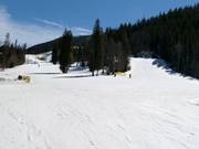 Dalafdaling Haywood en Schoolmarm