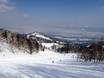 Oost-Azië: beoordelingen van skigebieden – Beoordeling Furano