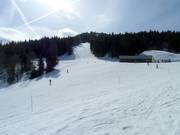 Einde van de FIS-standaardpiste Kohlerhang