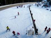 Magic Carpet - Transportband