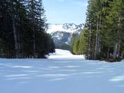 Gemakkelijke familieafdaling