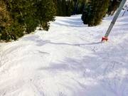 Bosdoorgang onder de 4-persoons stoeltjeslift Méné