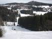 Almberg-Haidel-Dreisessel: Grootte van de skigebieden – Grootte Bischofsreut