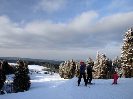 Hochsauerlanddistrict: beoordelingen van skigebieden – Beoordeling Sahnehang