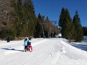 Farrenau I - Sleeplift met T-beugel/Ankerlift