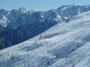 Freeridegebied op de Thurntaler