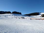 Makkelijke en brede pistes domineren op de Postalm