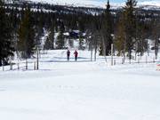 Langlaufloipes in Kvitfjell