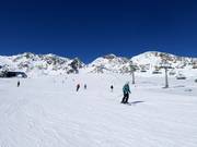 Oefenweide bij de Murmelebahn bij de Gamsgarten