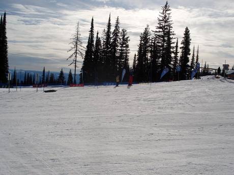 Skigebieden voor beginners in Thompson Okanagan – Beginners Silver Star