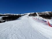 Piste bij de sleeplift Sysendalen