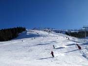 Gemakkelijke Bärnbissafdaling