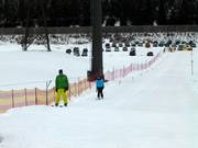 Beginners-Lift Flachauwinkl - Sleeplift/babyllift