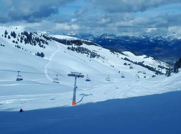 Bochasses - © Michael Medek