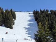 Moeilijke piste Variante Rainer