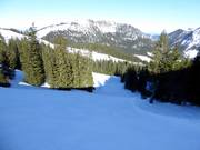 Zeer zware Roßkopfabfahrt