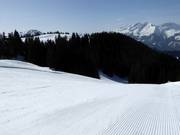 Geprepareerde piste in het skigebied Grüsch Danusa