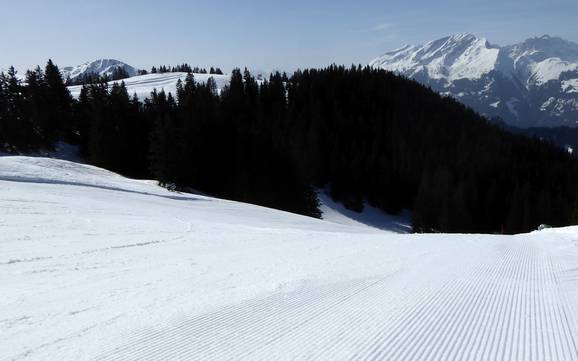 Pistepreparatie Prättigau – Pistepreparatie Grüsch Danusa