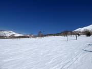 Lichte en brede pistes in Annupuri