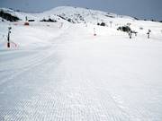 Kordsamt in Le Corbier