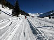 Schneeflucht 2 - Sleeplift met T-beugel/Ankerlift