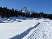 Hoogteloipe "La Muntagnarda"