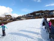 Oefenweide met transportband in Smiggin Holes