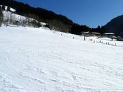 Beginnerspiste in Aschau